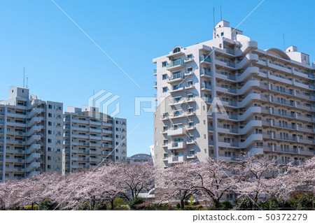 中層建築群 中層建築群 50372279