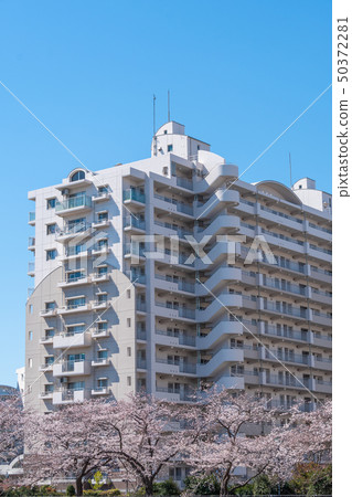 中層建築群 中層建築群 50372281