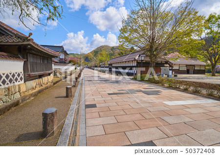 從島根的Tsuwano Tonomachi街邊向東北看（San的小京都） 50372408