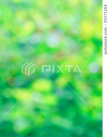 Abstract forest bokeh background Abstract forest bokeh background 50373264