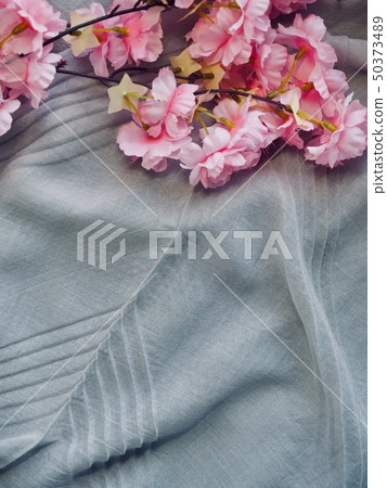 棉織物和櫻花背景 50373489