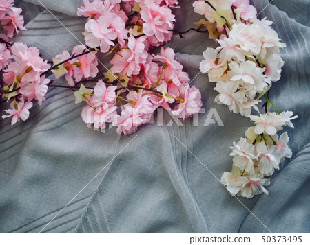 棉織物和櫻花背景 50373495