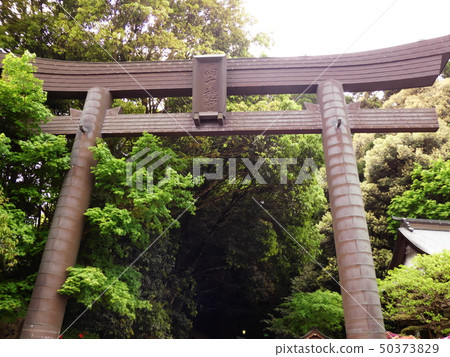 高千穗神社的鳥居 50373829