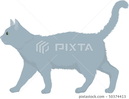 俄羅斯藍 50374413