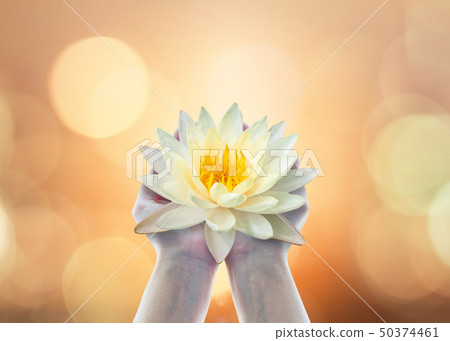 Vesak day, Buddhist lent day, Buddha birthday Vesak day, Buddhist lent day, Buddha birthday 50374461