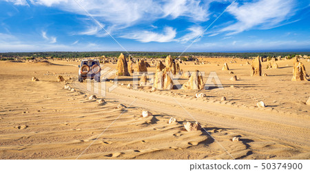 The Pinnacles rock park, Nambung National Park, Ce The Pinnacles rock park, Nambung National Park, Ce 50374900