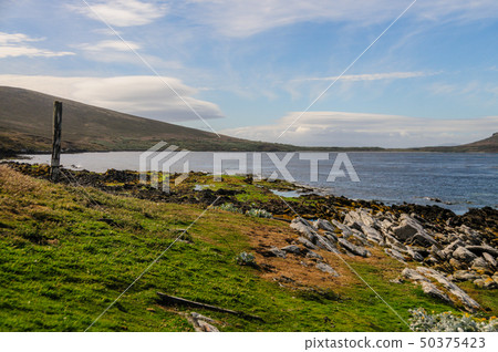 Carcass Island Coast Carcass Island Coast 50375423
