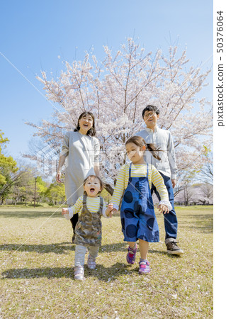 一家四口在櫻花盛開的公園裡玩 50376064