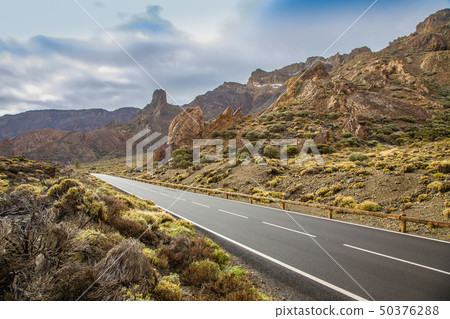 View of the landscape in Teide National Park View of the landscape in Teide National Park 50376288