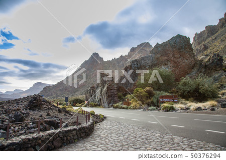 View of the landscape in Teide National Park View of the landscape in Teide National Park 50376294