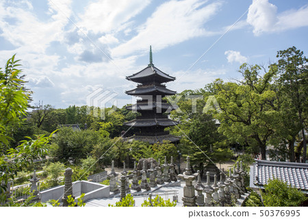 箱根Hakoshoji在夏天 50376995