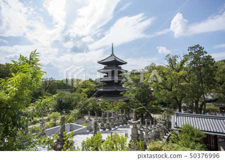 箱根Hakoshoji在夏天 50376996