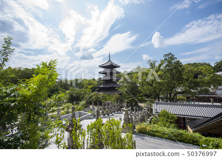 箱根Hakoshoji在夏天 50376997