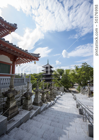 箱根Hakoshoji在夏天 50376998