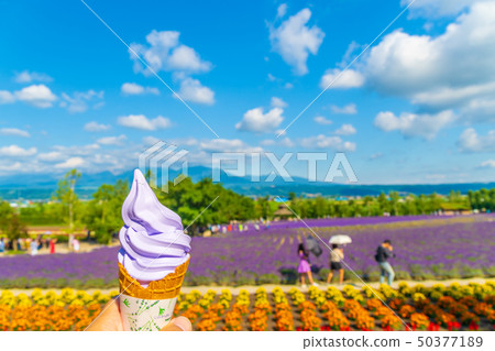 薰衣草田和軟奶油Naka Furano 50377189
