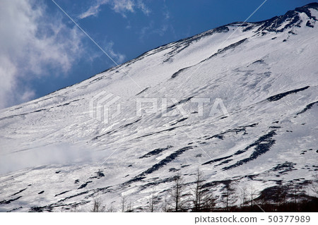 Mount Fuji Mount Fuji 50377989