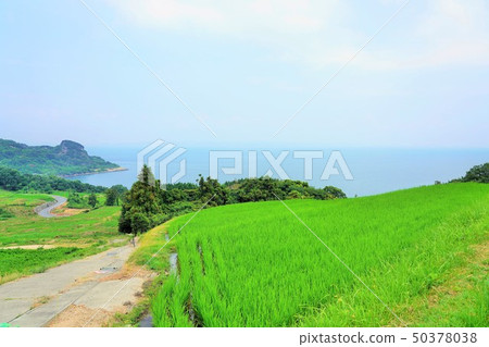 鄉村景觀 50378038