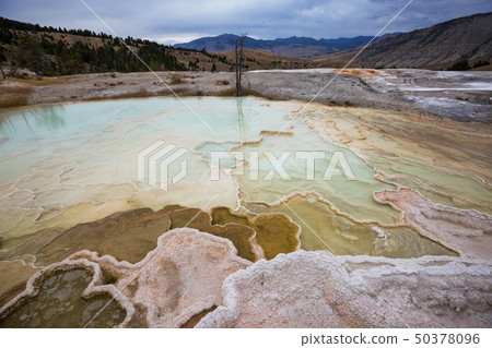 Mammoth Hot Spring 50378096