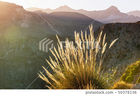 Chile landscape Chile landscape 50378136