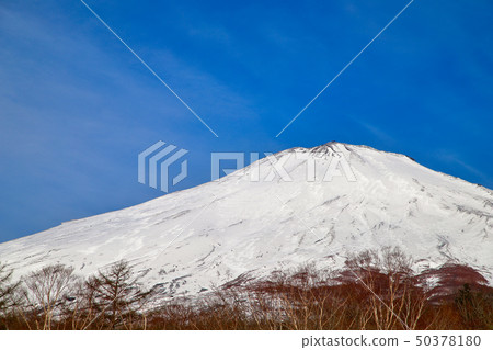 富士山 50378180