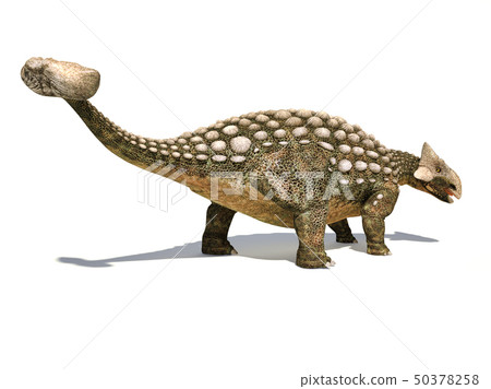 Ankylosaurus dinosaur isolated on white Ankylosaurus dinosaur isolated on white 50378258
