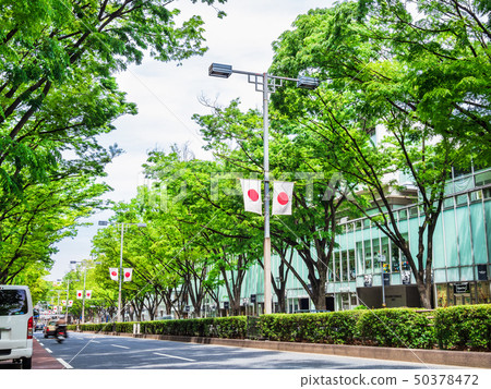 東京表參道 50378472