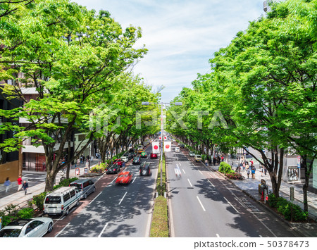 Tokyo Omotesando 50378473