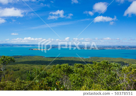 從山坡上的朗伊托托島景觀 50378551