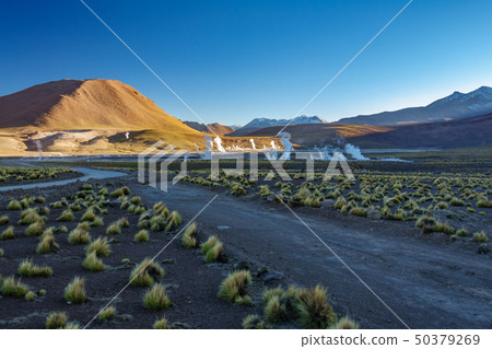 El Tatio Geysers crater in northern Chile, Atacama Region 50379269