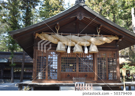 Su訪Taisha Shimosha Shunsuke Kagura 50379409