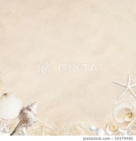 Background-Sea-Summer-Beach-Seashell-Sand 50379480