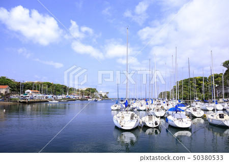 Zhuge (spring) 50380533