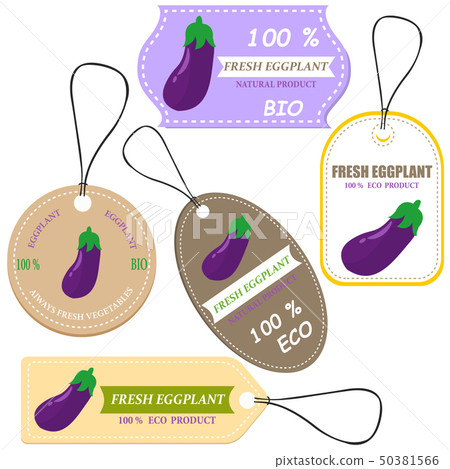 Fresh eggplant sketch card with discount offer Fresh eggplant sketch card with discount offer 50381566