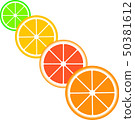 Citrus slices of lemon, orange, lime and grapefrui 50381612