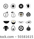 Set of fruits and vegetables 50381615