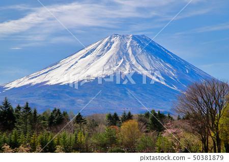 富士山 50381879