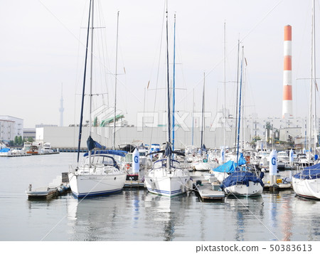 Dream Island Marina 50383613