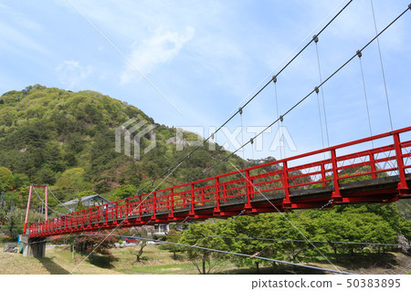Suspension Bridge at Yeast Mountain Yeast Town, Fukushima Prefecture 50383895