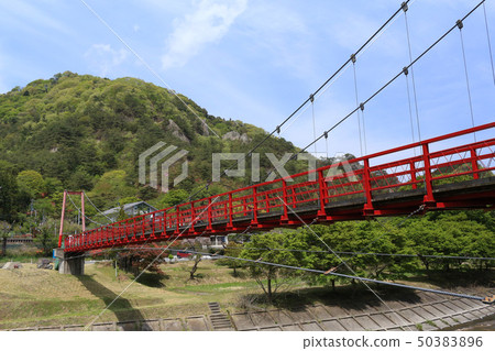 福島縣酵母山酵母鎮的吊橋 50383896