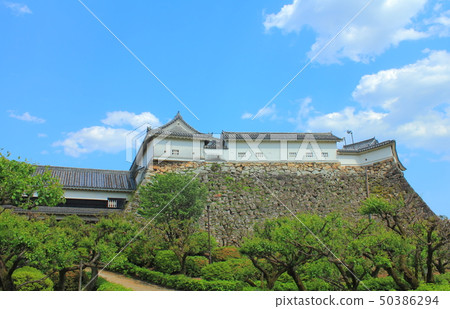 [Kochi Prefecture] Kochi Castle 50386294