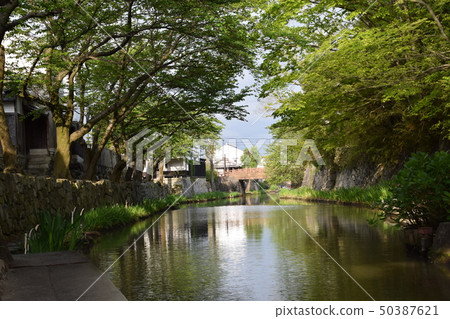 Hachimanbori Mizugo (Shiga Prefecture Omi Hachiman City Miyauchi-cho Yawata Traditional Building Group Conservation Area) 50387621