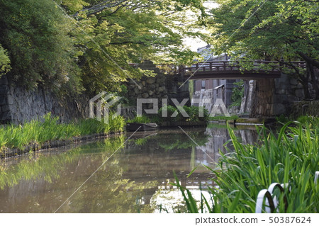 Hachimanbori Mizugo (Shiga Prefecture Omi Hachiman City Miyauchi-cho Yawata Traditional Building Group Conservation Area) 50387624