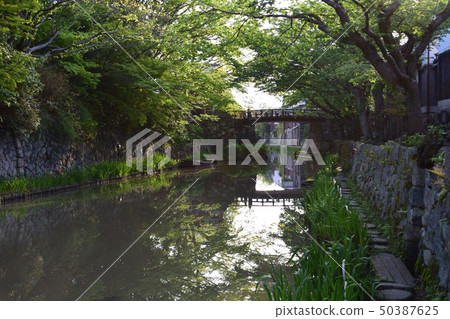 Hachimanbori Mizugo (Shiga Prefecture Omi Hachiman City Miyauchi-cho Yawata Traditional Building Group Conservation Area) 50387625