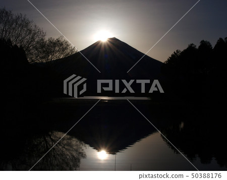 "Diamond Fuji" Lake Tanuki Fujinomiya City 50388176