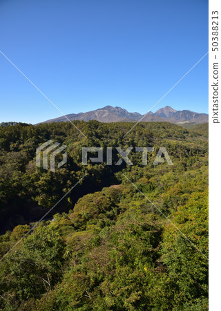 八岳的秋葉 八岳的秋葉 50388213