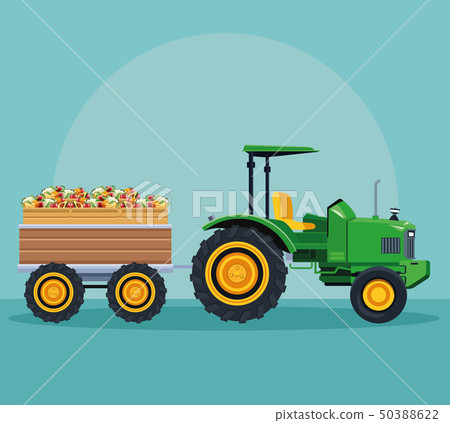 farm tractor pushing fruits with cart farm tractor pushing fruits with cart 50388622