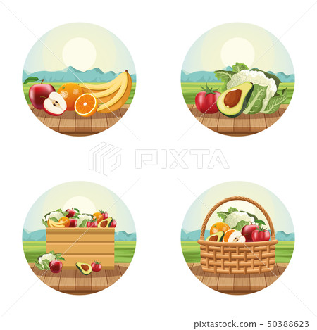 Fruits and vegetables 50388623