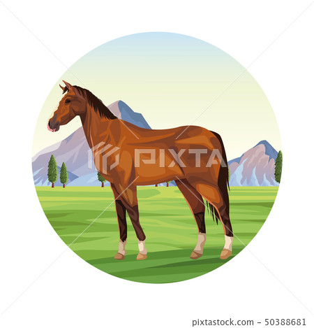 Horse farm animal Horse farm animal 50388681