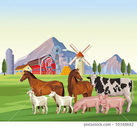 farm animals cartoons 50388682