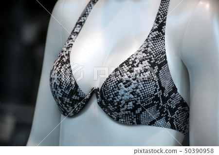 closeup of snake bikini on mannequin closeup of snake bikini on mannequin 50390958